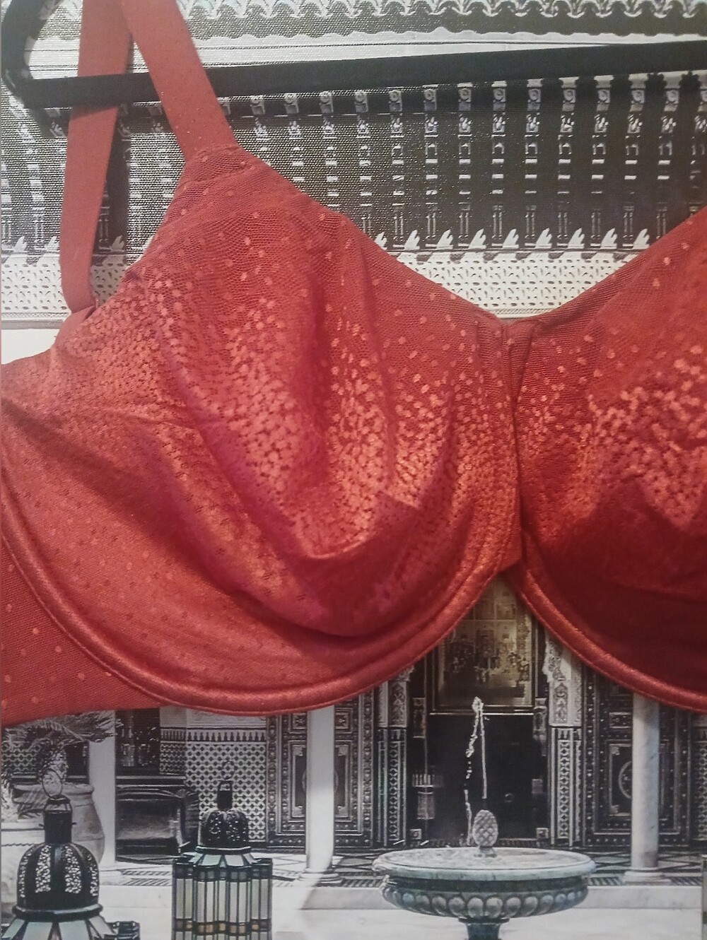 Wacoal Red Bra - US 38G - Picture 6 of 9